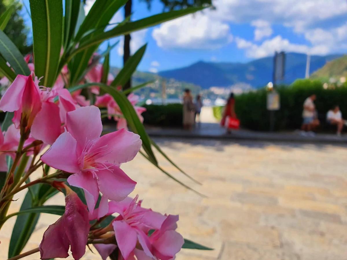 Divina Luxury Apartment With Jacuzzi Near The Lake Como Eksteriør billede